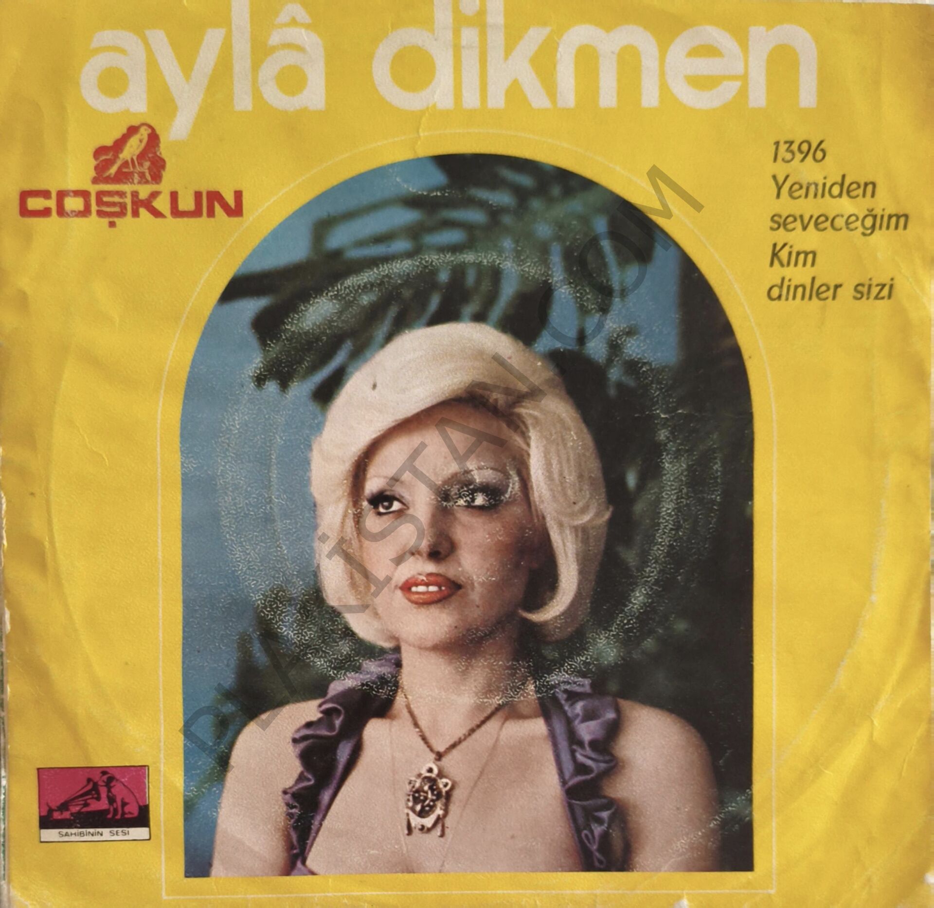 Ayla Dikmen - Yeniden Seveceğim ( Anlamazdın ) 45 LİK PLAK