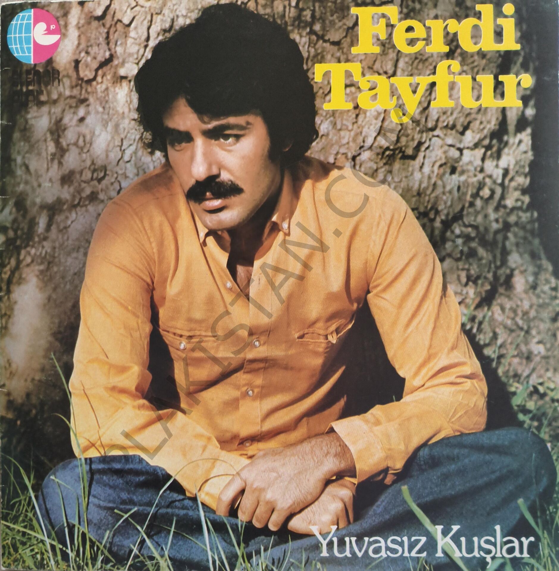 Ferdi Tayfur - Yuvasız Kuşlar LP PLAK