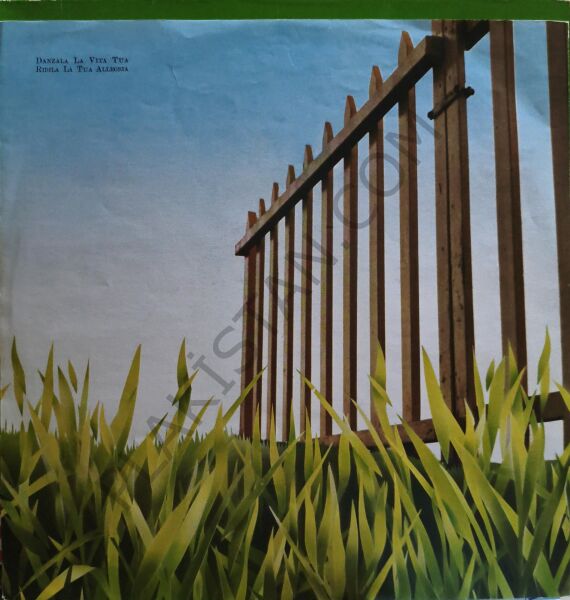 Angelo Branduardi – Cogli La Prima Mela LP PLAK