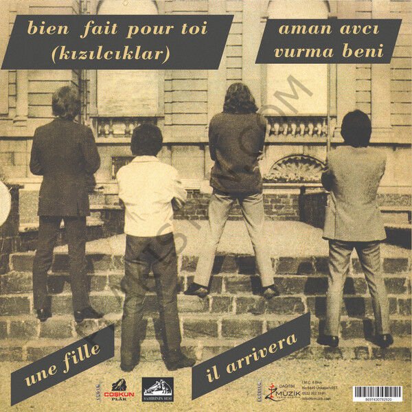 BARIŞ MANÇO - KIZILCIKLAR OLDUMU LP PLAK