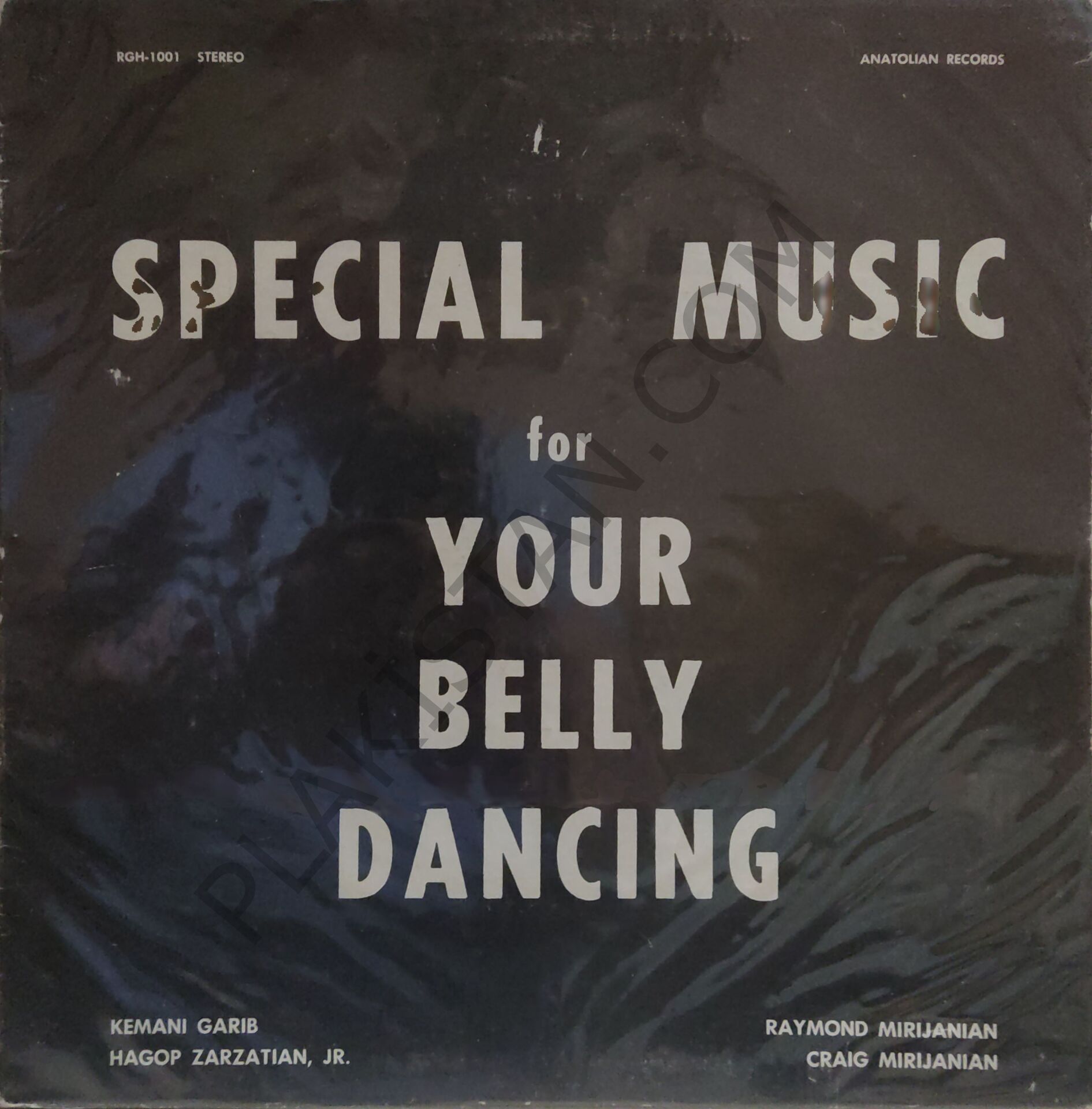 Specıal Musıc for Your Belly Dancing LP