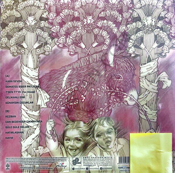 BARIŞ MANÇO   DARISI BAŞINIZA PİCTURE DİSC LP PLAK