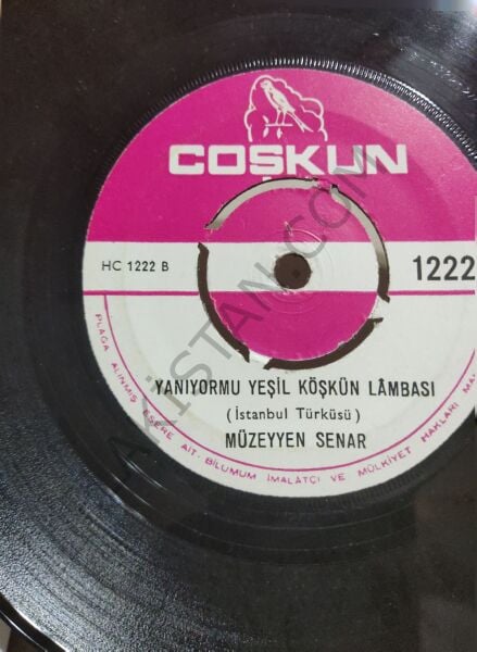 Müzeyyen Senar - Maziyi Unutma 45 LİK PLAK