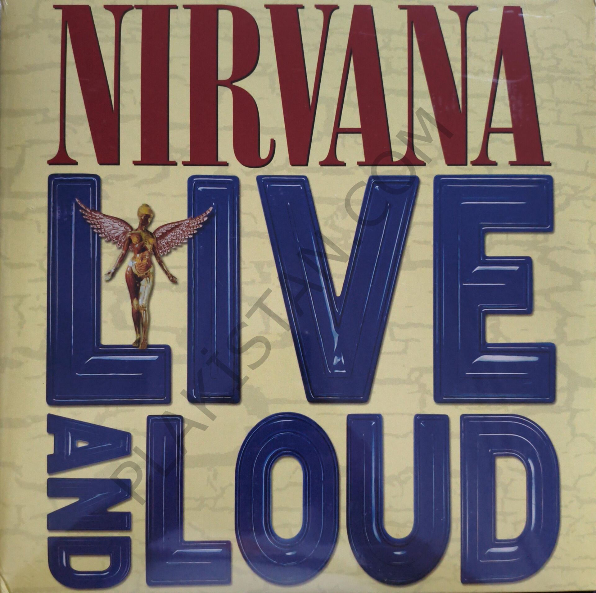 Nirvana – Live And Loud 2 LP PLAK