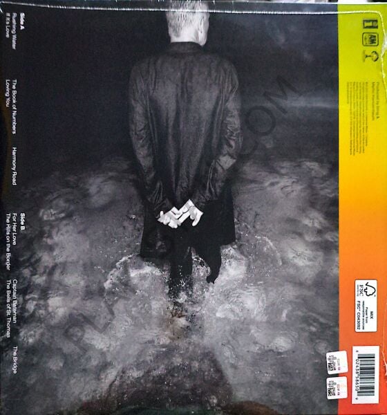 STING - THE BRIDGE LP PLAK