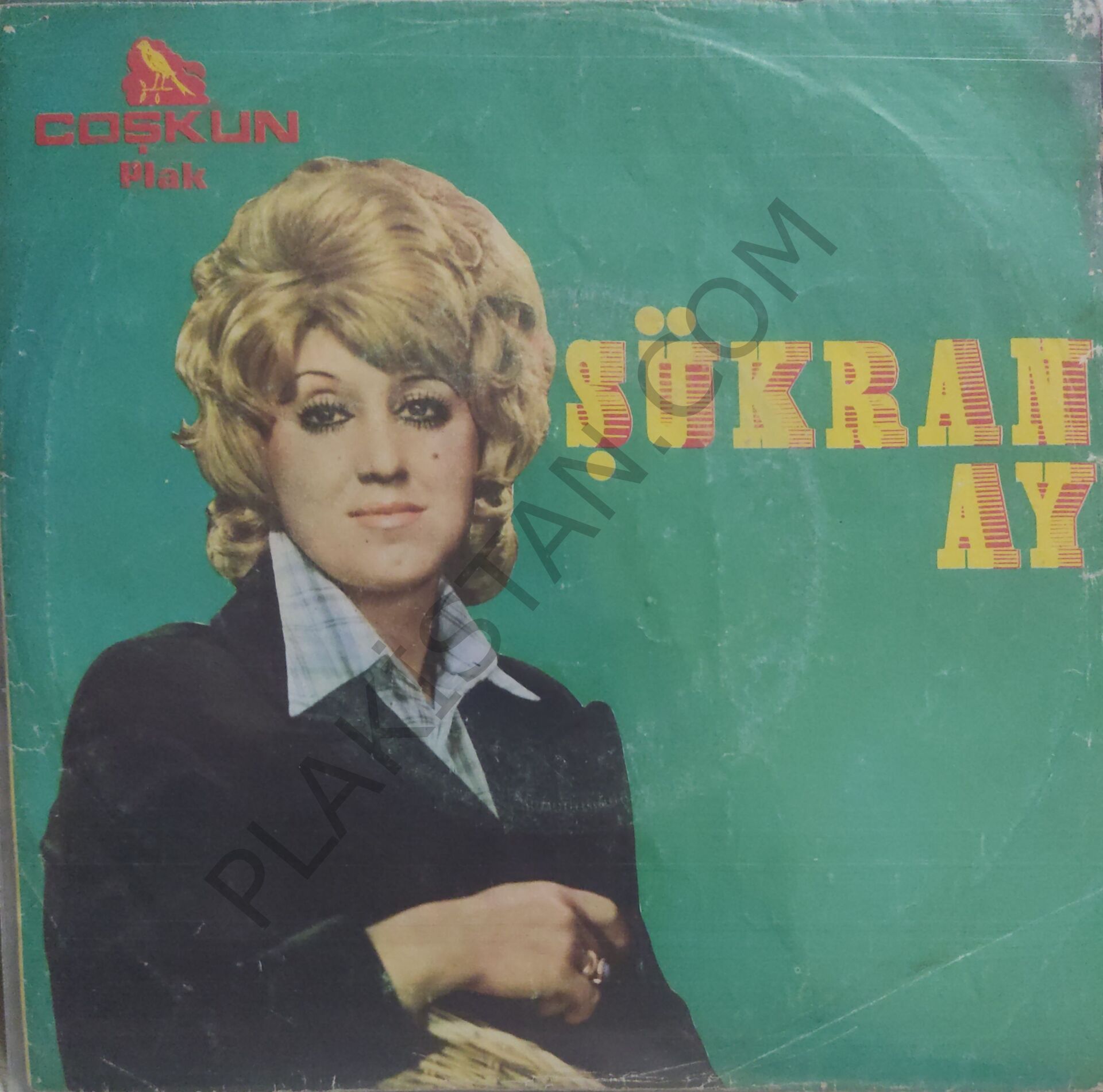 Şükran Ay gözünde dizinde Dursun 45 lik