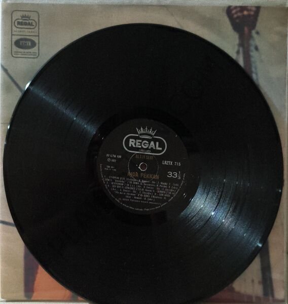 AJDA KAZAKLI -  LP PLAK