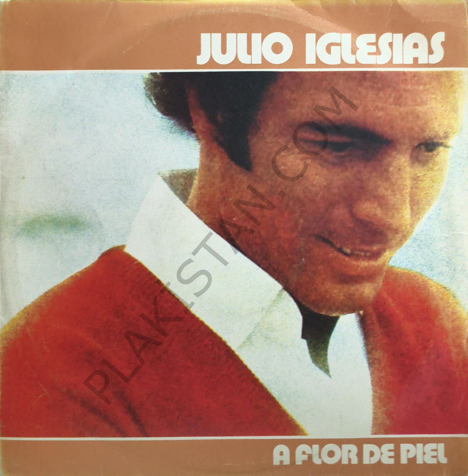 Julio Iglesias ‎– A Flor De Piel -  LP PLAK