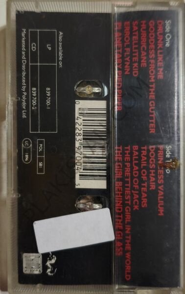 The Dogs D'Amour – Errol Flynn kaset