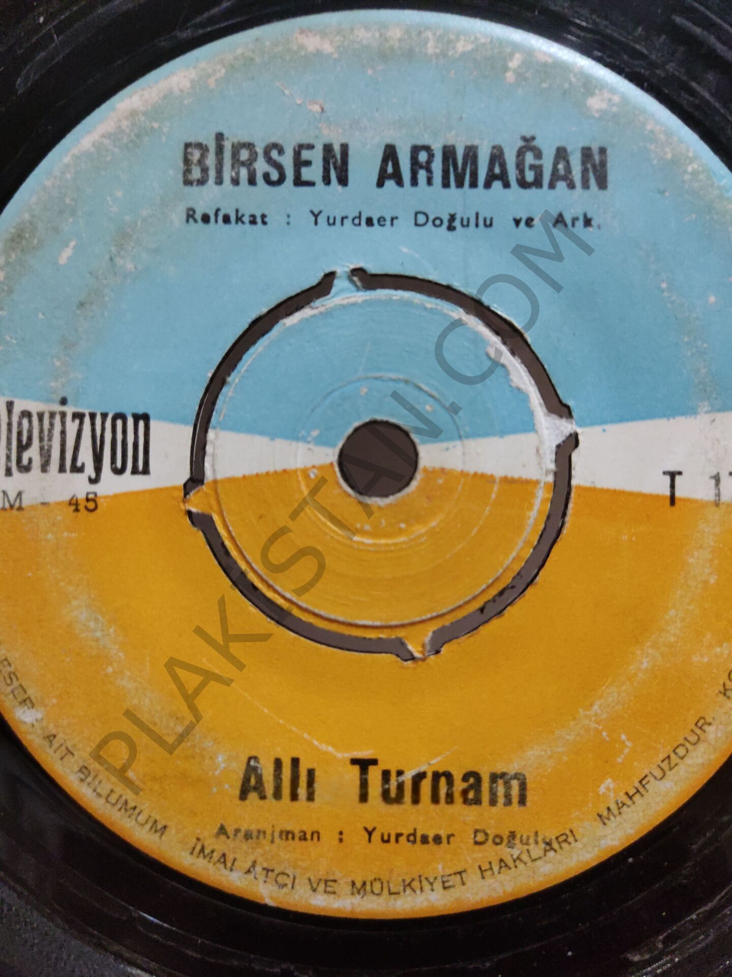 Birsen Armağan - Allı Turnam 45 lik PLAK