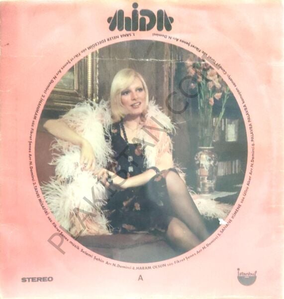 Ajda Pekkan - Hoş Gör Sen ( Çanta ) LP