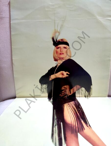 Ajda Pekkan - Hoş Gör Sen ( Çanta ) LP