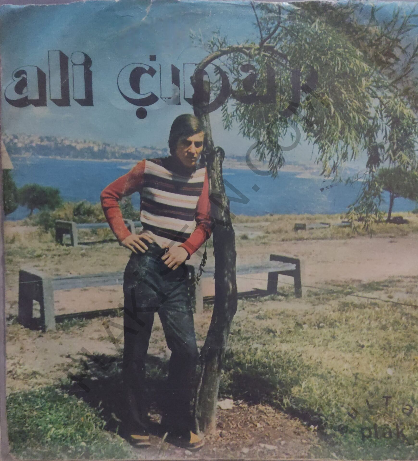 Aşık Ali Çınar - Merhaba diyelim - 45lik PLAK