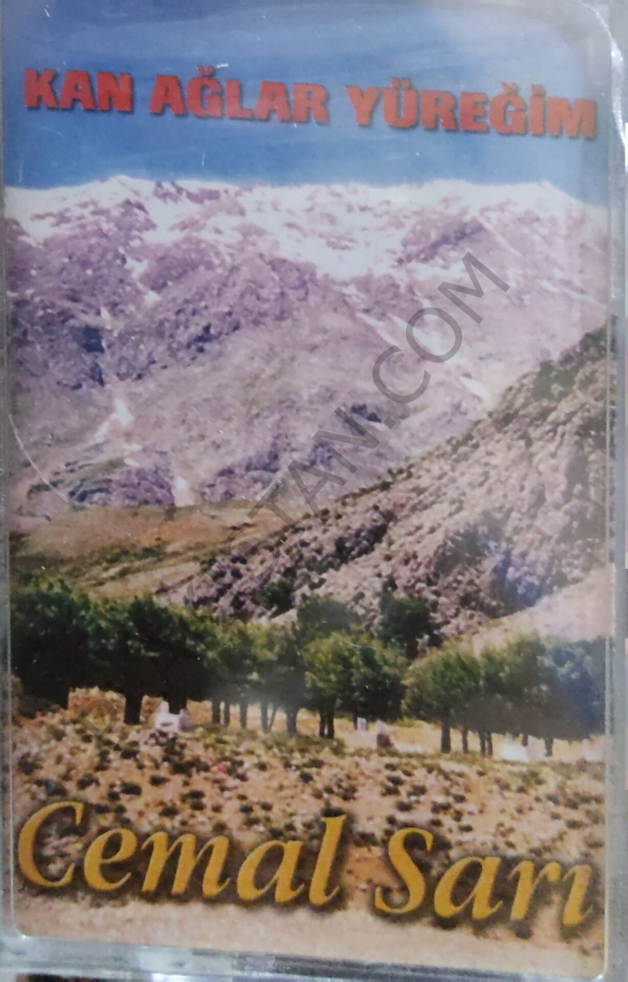 Cemal Sarı - Kan Ağlar Yüreğim - KASET