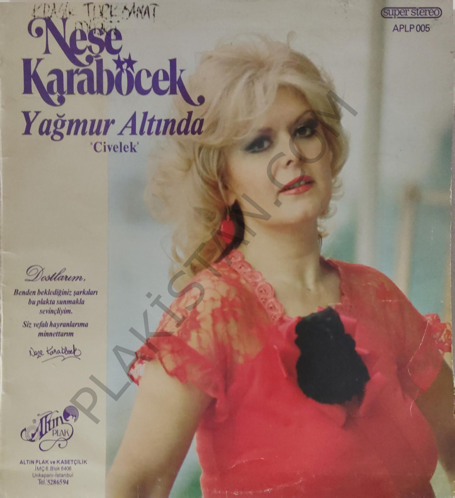 Neşe Karaböcek Yağmur Altında Civelek LP