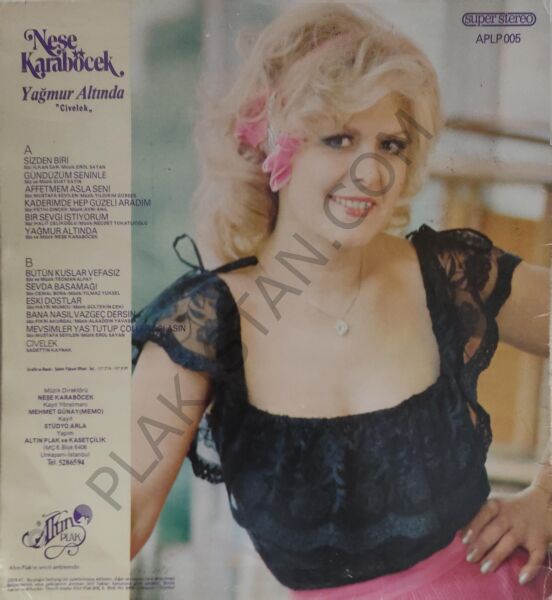 Neşe Karaböcek Yağmur Altında Civelek LP PLAK