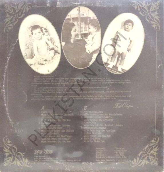 Ferdi Özbeğen Seviyorum Delicesine LP