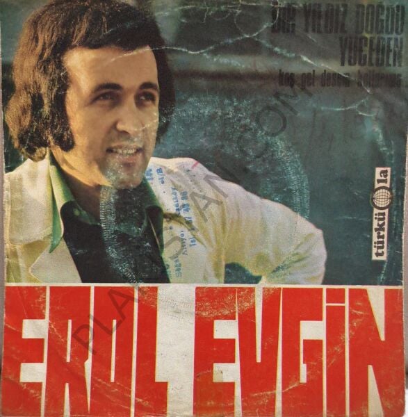 Erol Evgin - Bir Yıldız Doğdu Yüceden 45 LİK PLAK