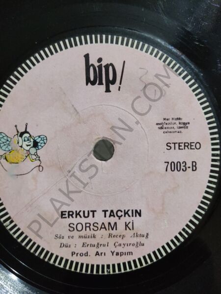 Erkut Taçkın Sevgi Çağı Çocuğu 45lik
