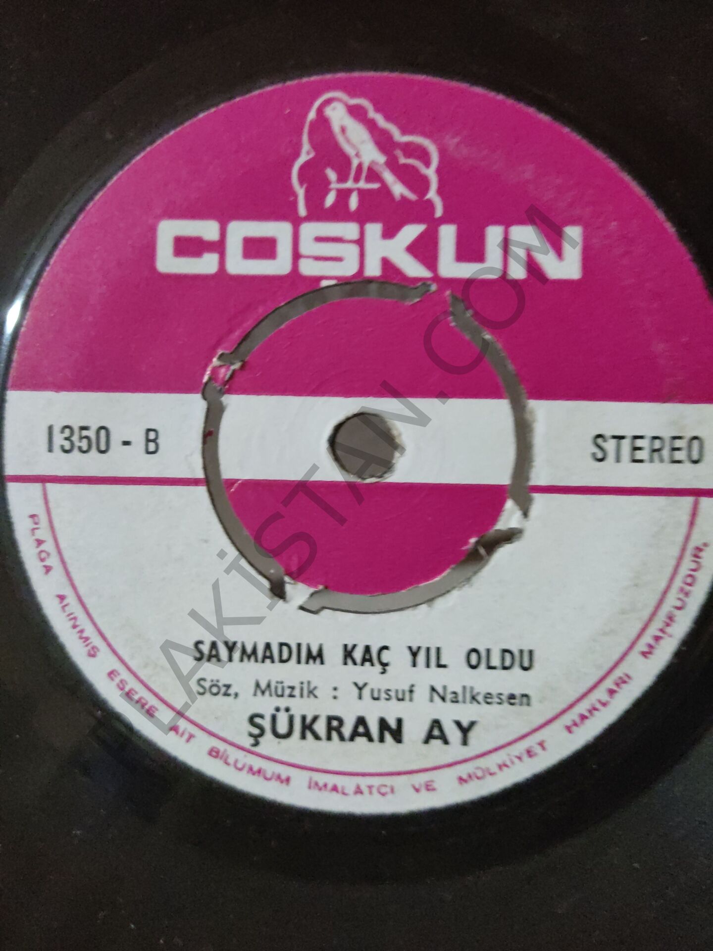 Şükran Ay - Bir gece ansızın gelebilirim 45lik PLAK