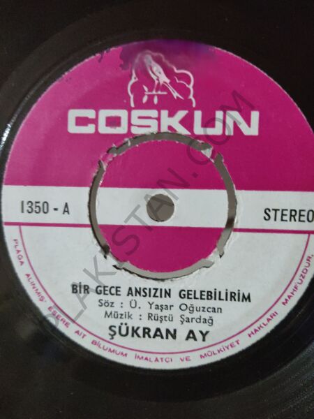 Şükran Ay - Bir gece ansızın gelebilirim 45lik PLAK