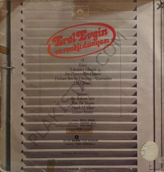 Erol Evgin Ve Renkli Dünyası LP PALK