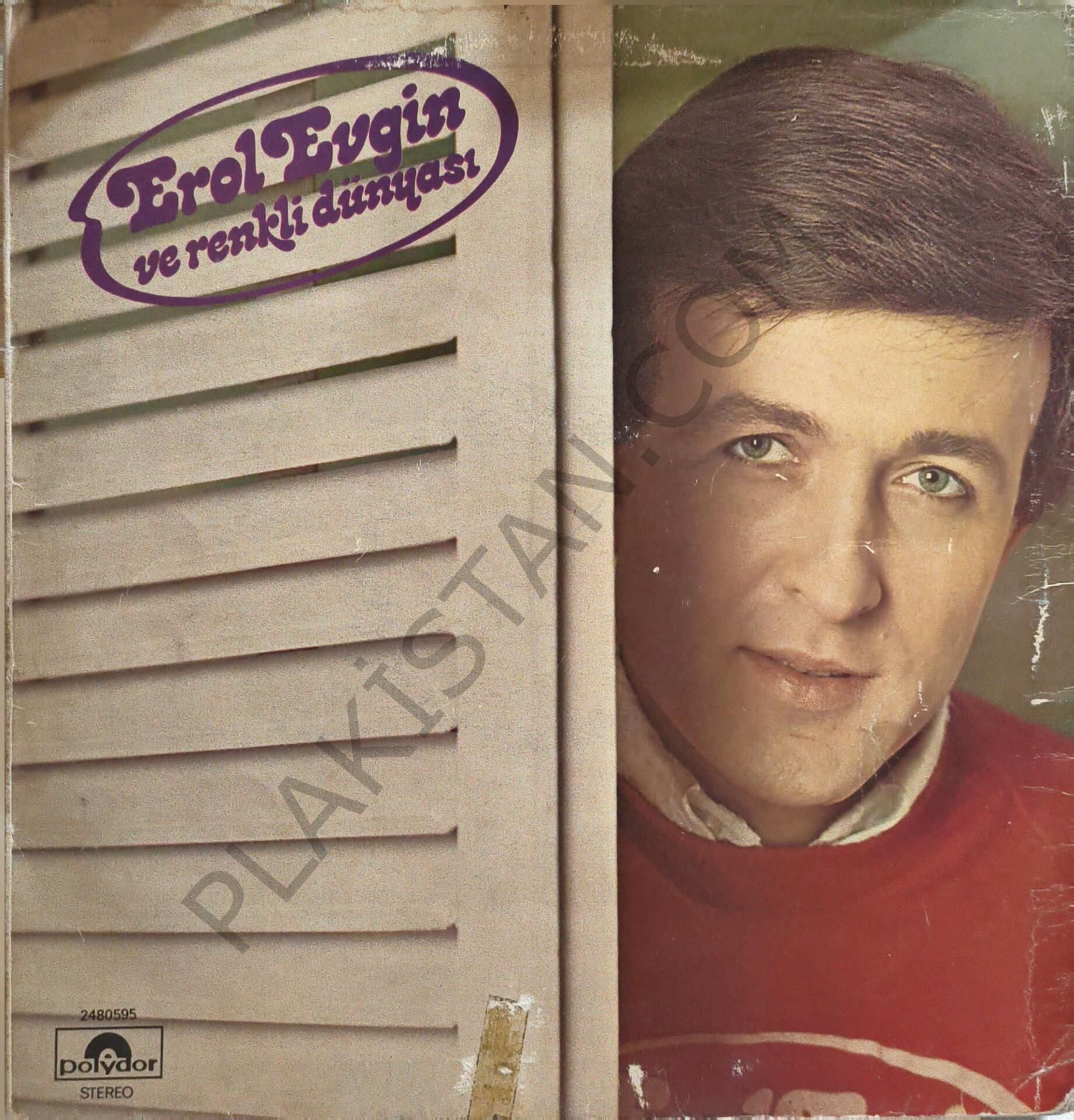 Erol Evgin Ve Renkli Dünyası LP PALK