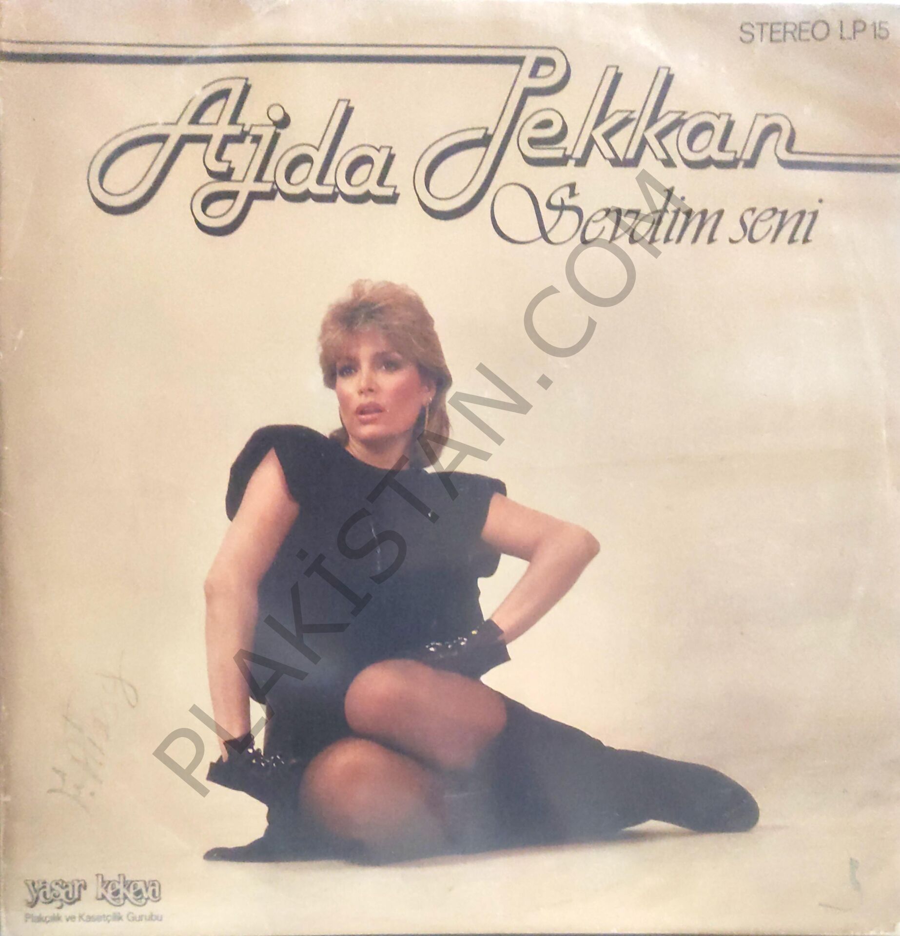 Ajda Pekkan - Sevdim seni  LP
