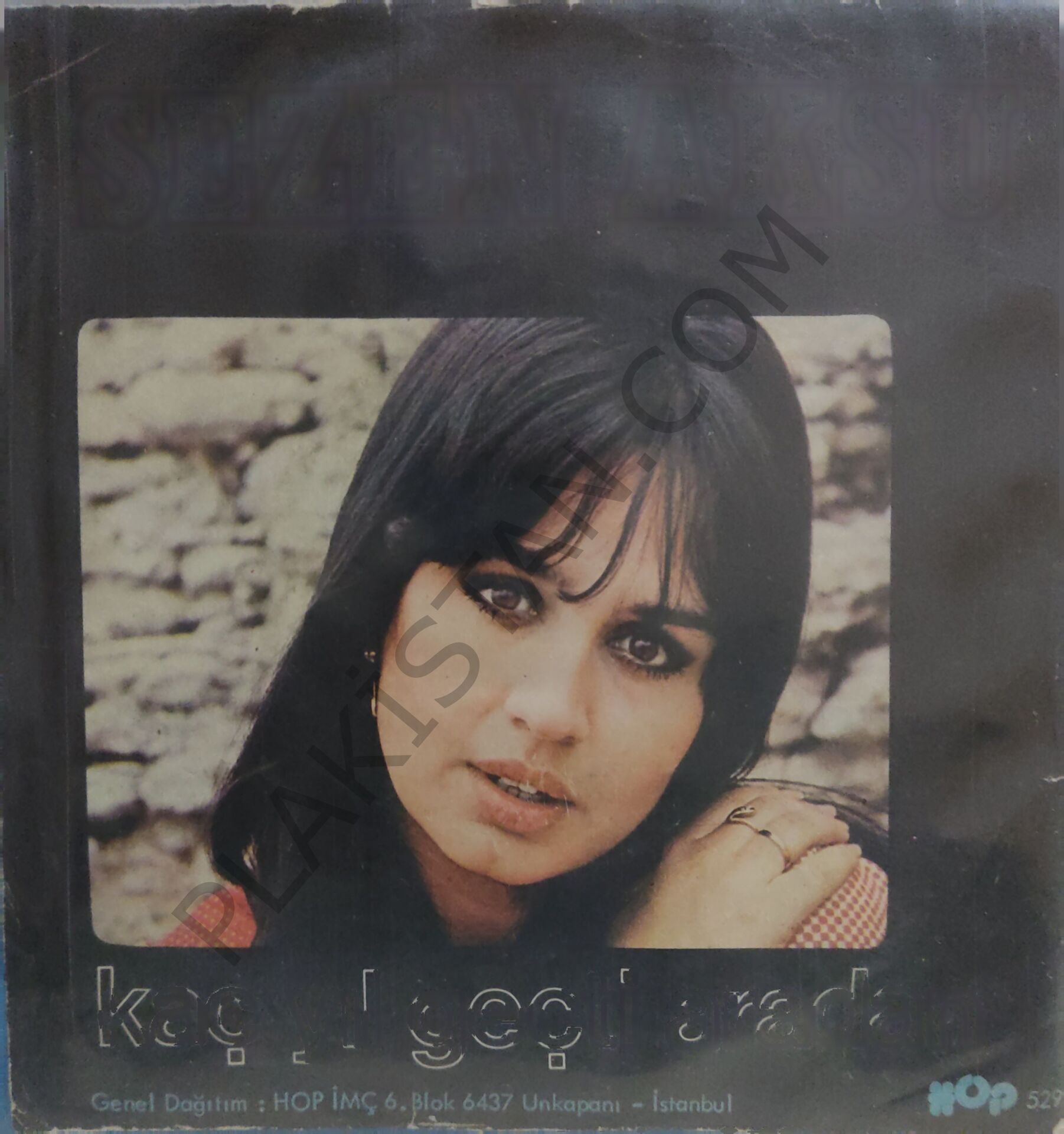 Sezen Aksu Kaç Yıl Geçti Aradan 45lik