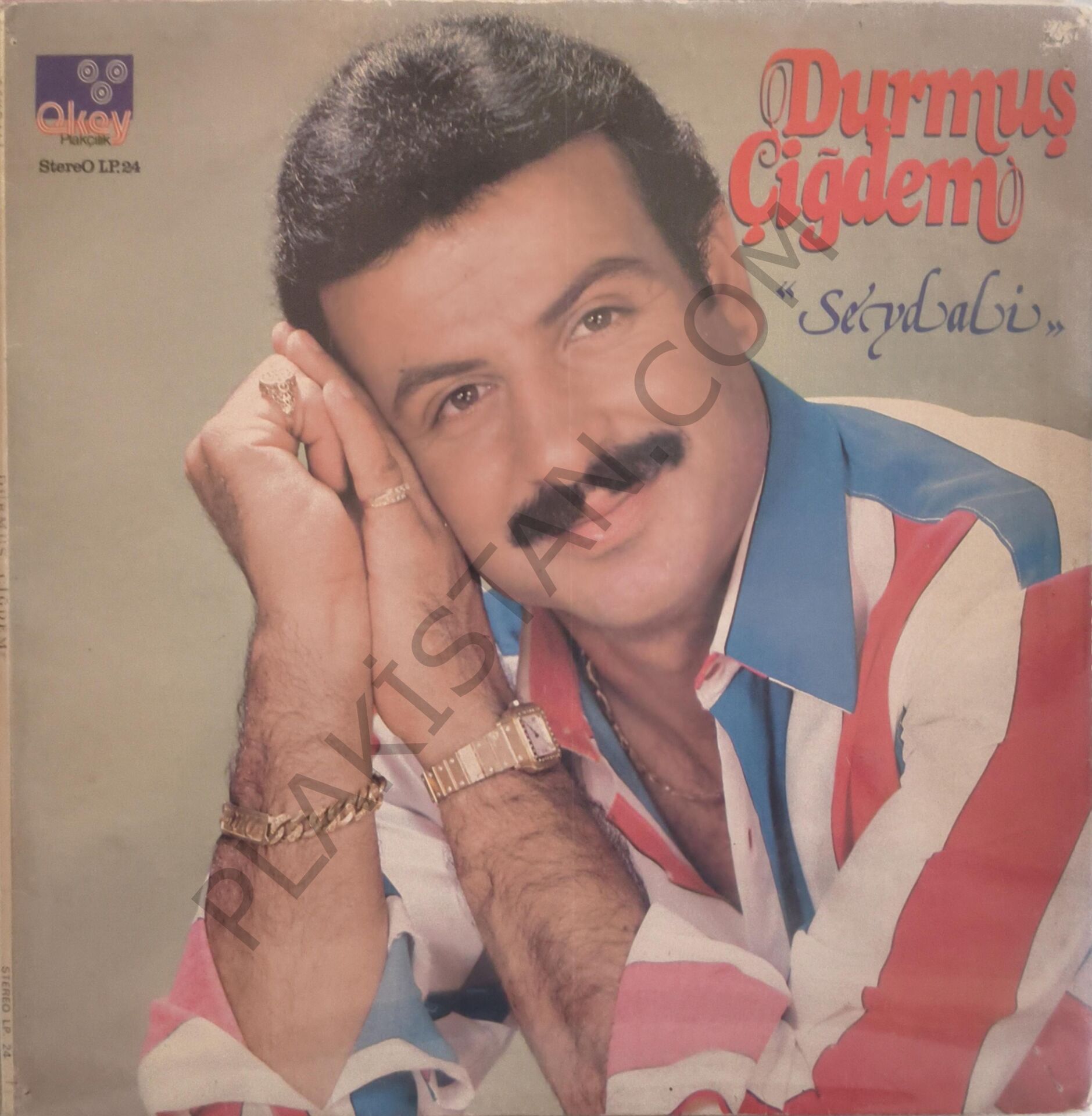 Durmuş Çiğdem Seydali LP PLAK