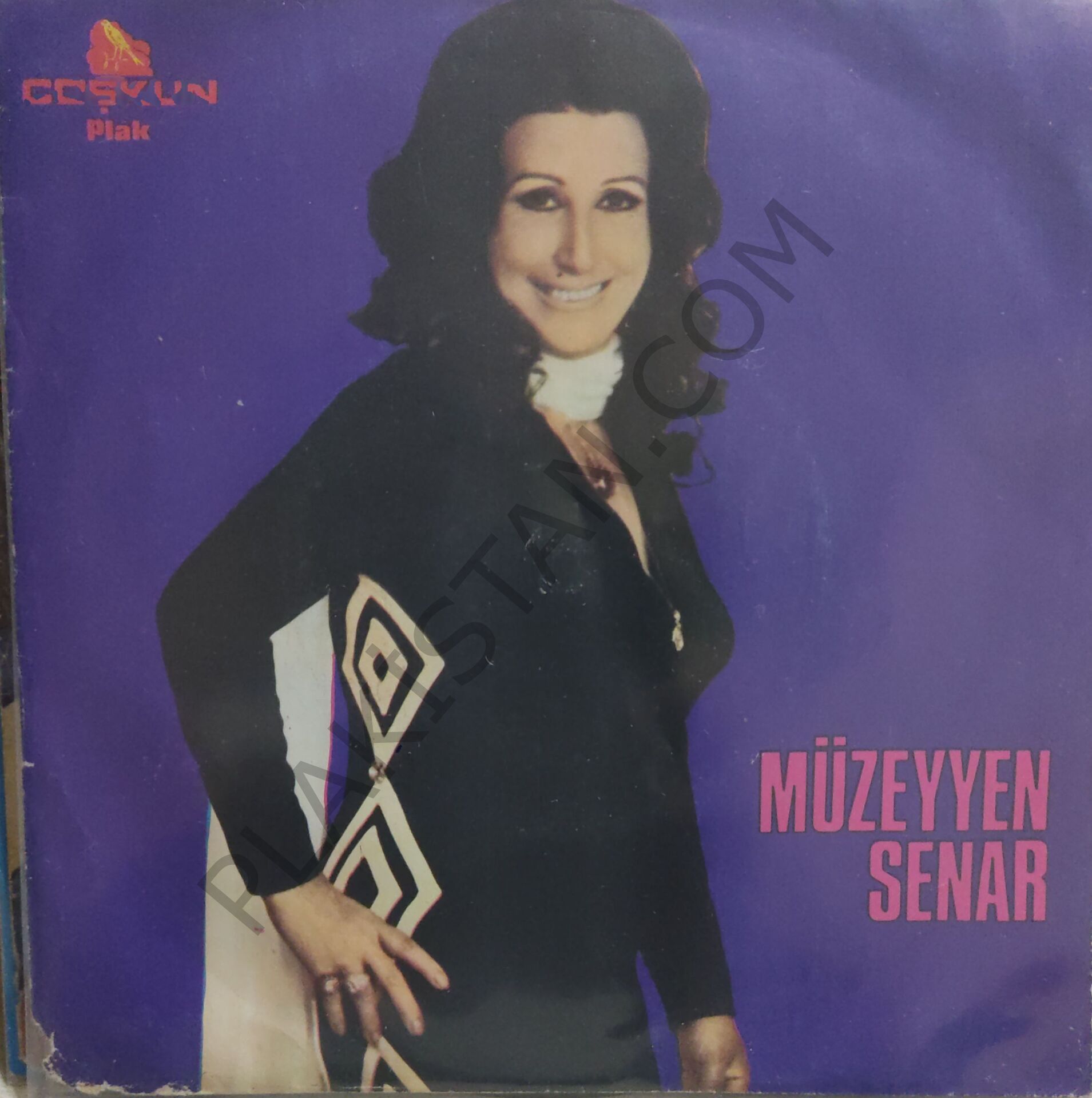 Müzeyyen Senar Viran  olan kalbimde 45lik