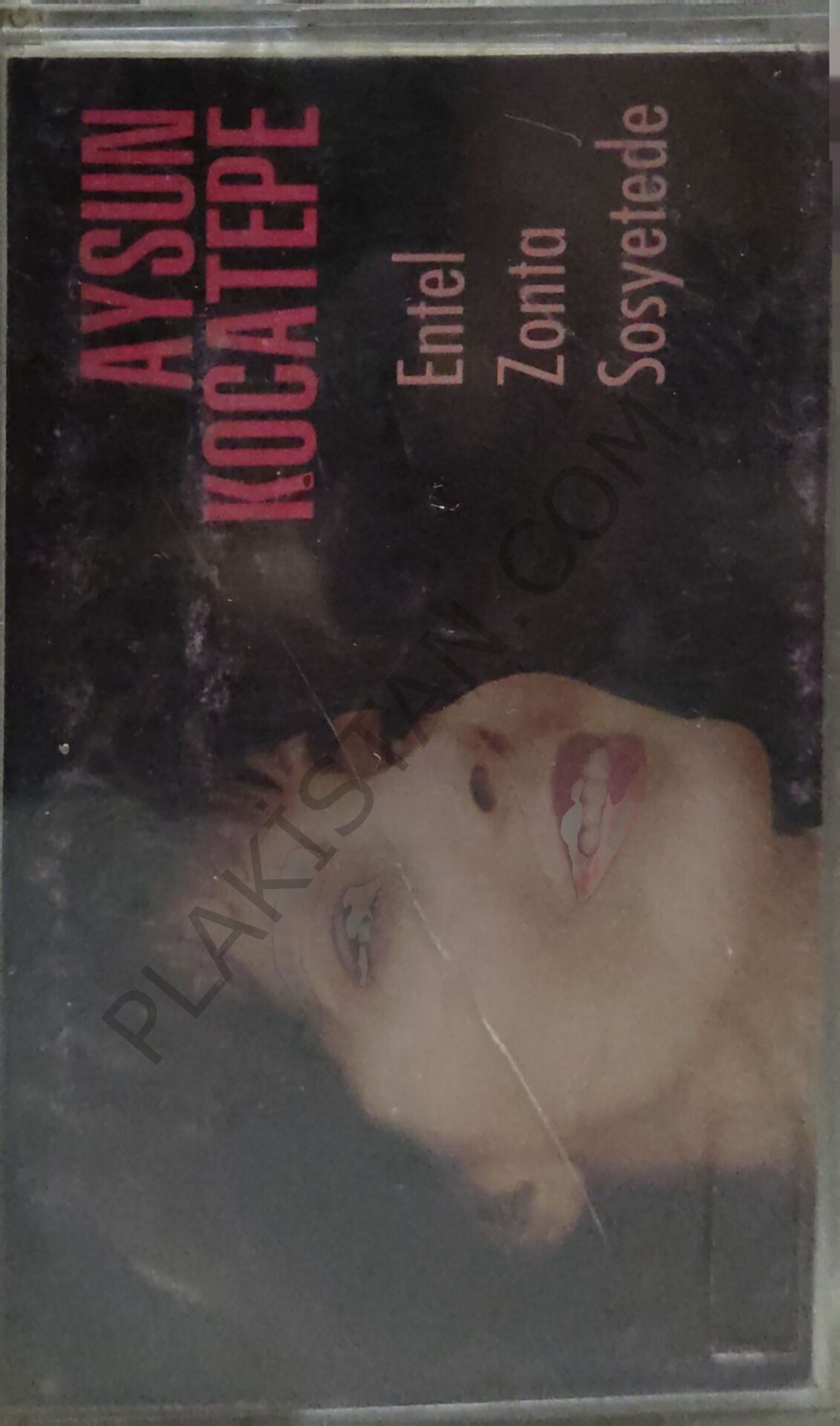 Aysun Kocatepe-Entel-Zonta-Sostede- KASET
