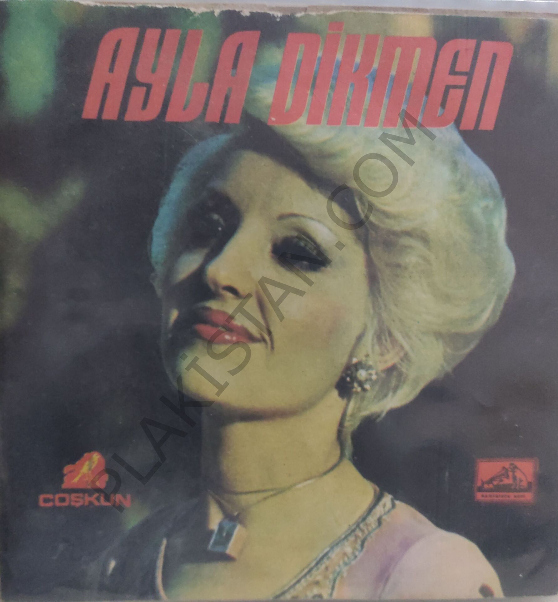Ayla Dikmen Yolcu Yolunda Gerek 45lik