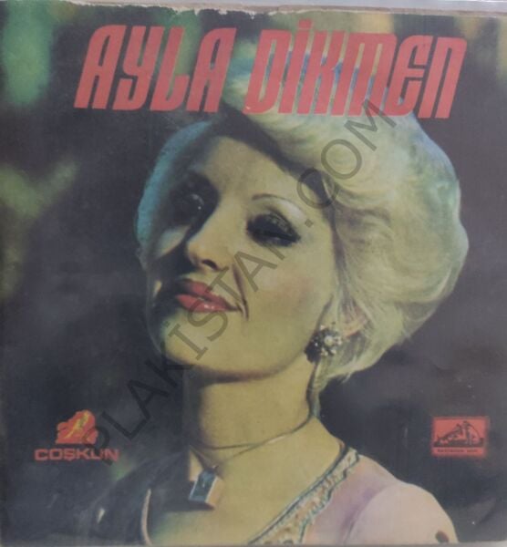 Ayla Dikmen Yolcu Yolunda Gerek 45lik