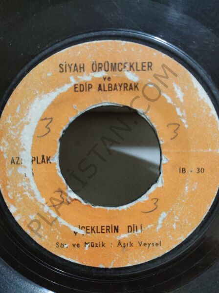 Siyah Örümcekler ve Edip Akbayram Kendim Ettim Kendim Buldum 45lik