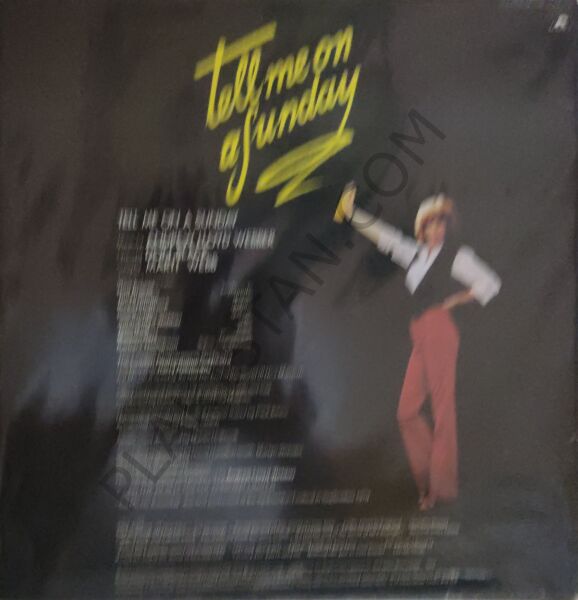 Marti Webb Tell Me On A Sunday LP PLAK