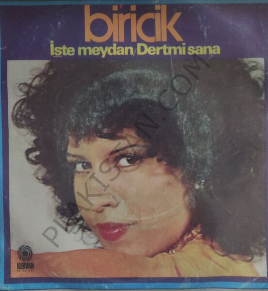 Biricik İşte Meydan 45lik