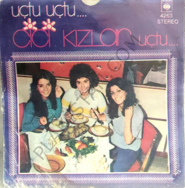 Cici Kızlar Uçtu Uçtu 45lik