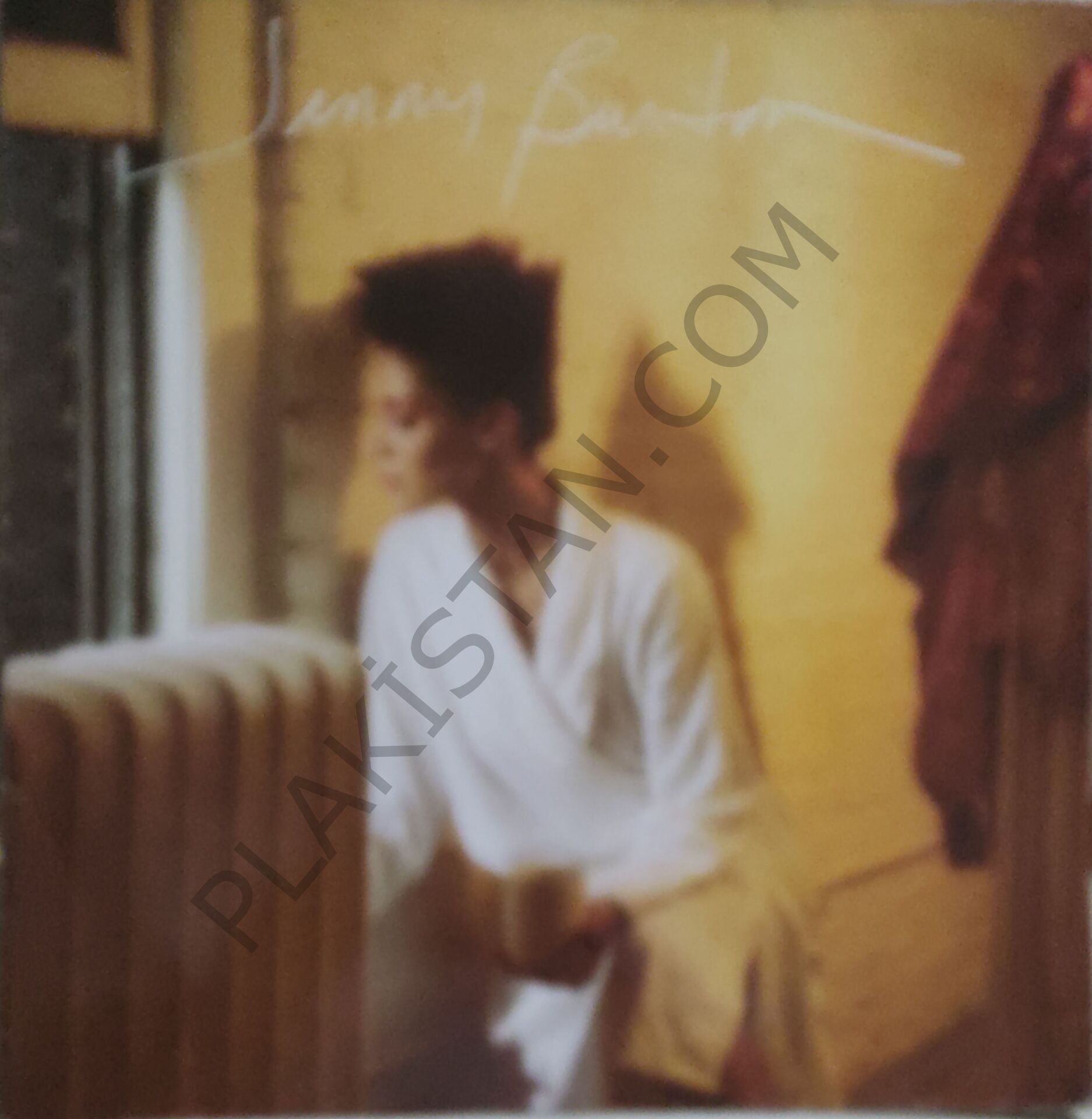 Jenny Burton LP PLAK