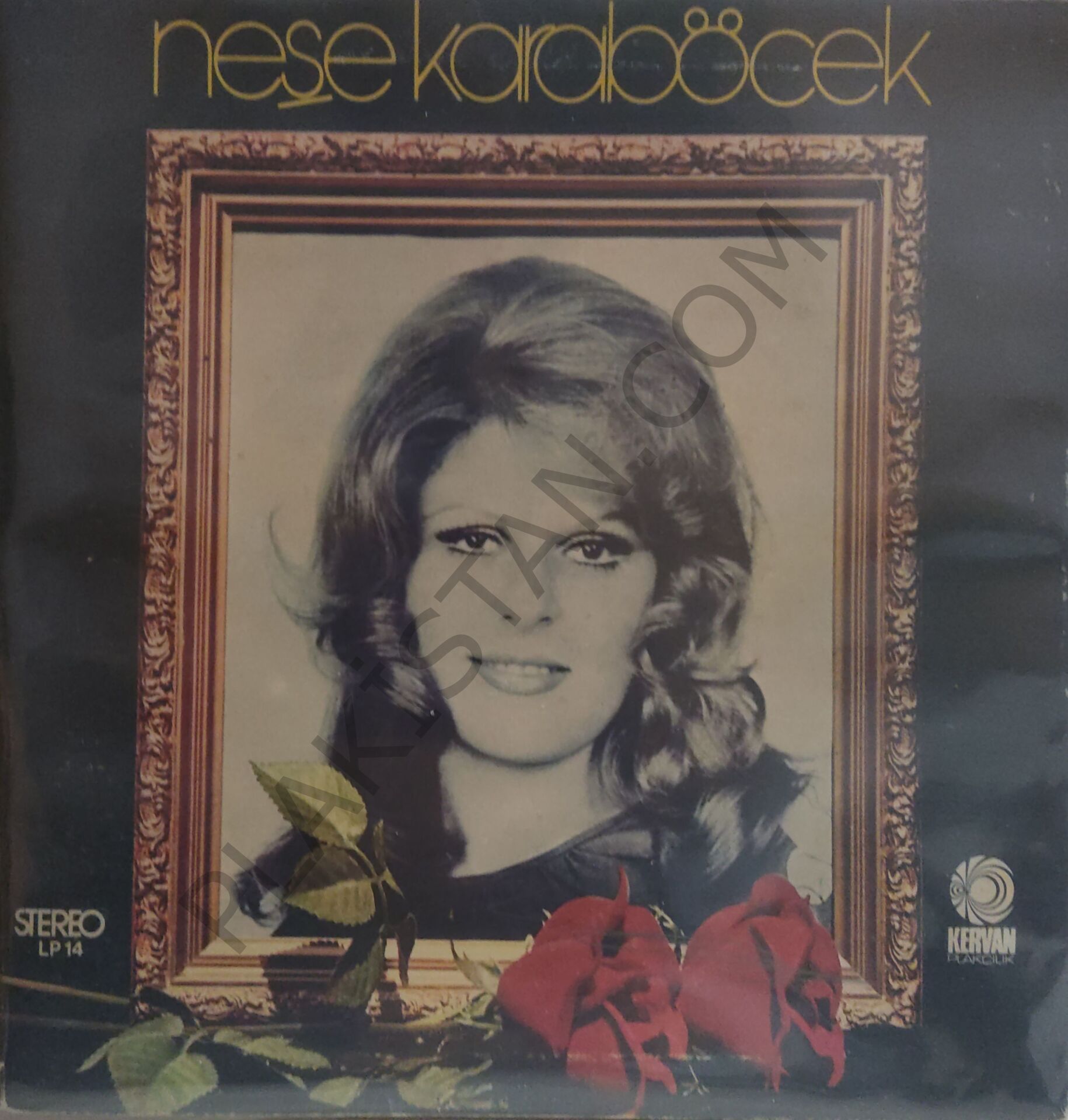 Neşe Karaböcek Ümidimi Kirpiklerine LP PLAK