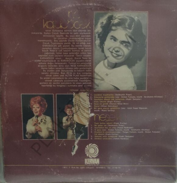 Neşe Karaböcek Ümidimi Kirpiklerine LP PLAK