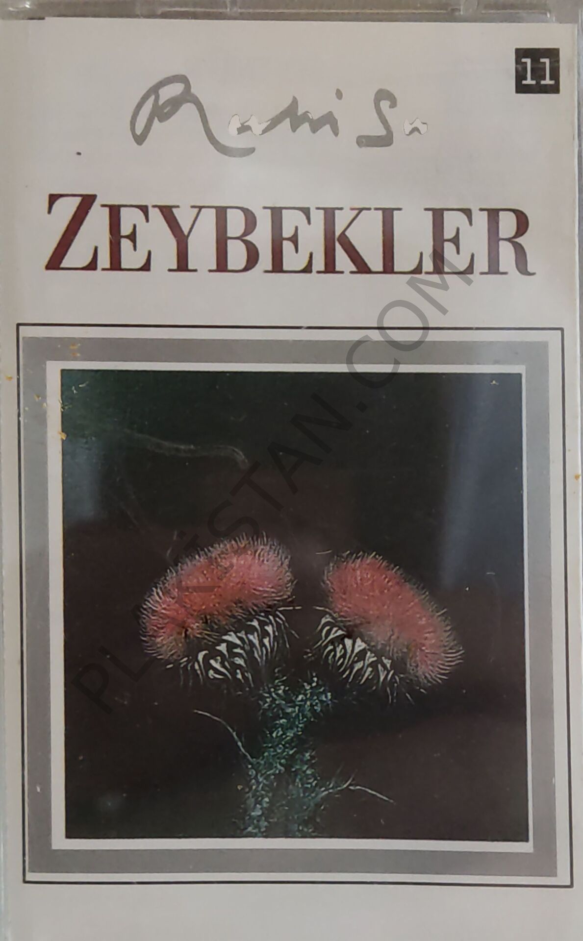 Ruhi Su - Zeybekler - KASET