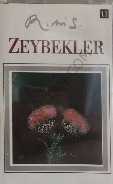 Ruhi Su - Zeybekler - KASET