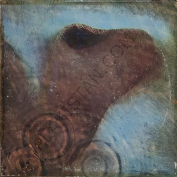 Pink Floyd – Meddle LP PLAK