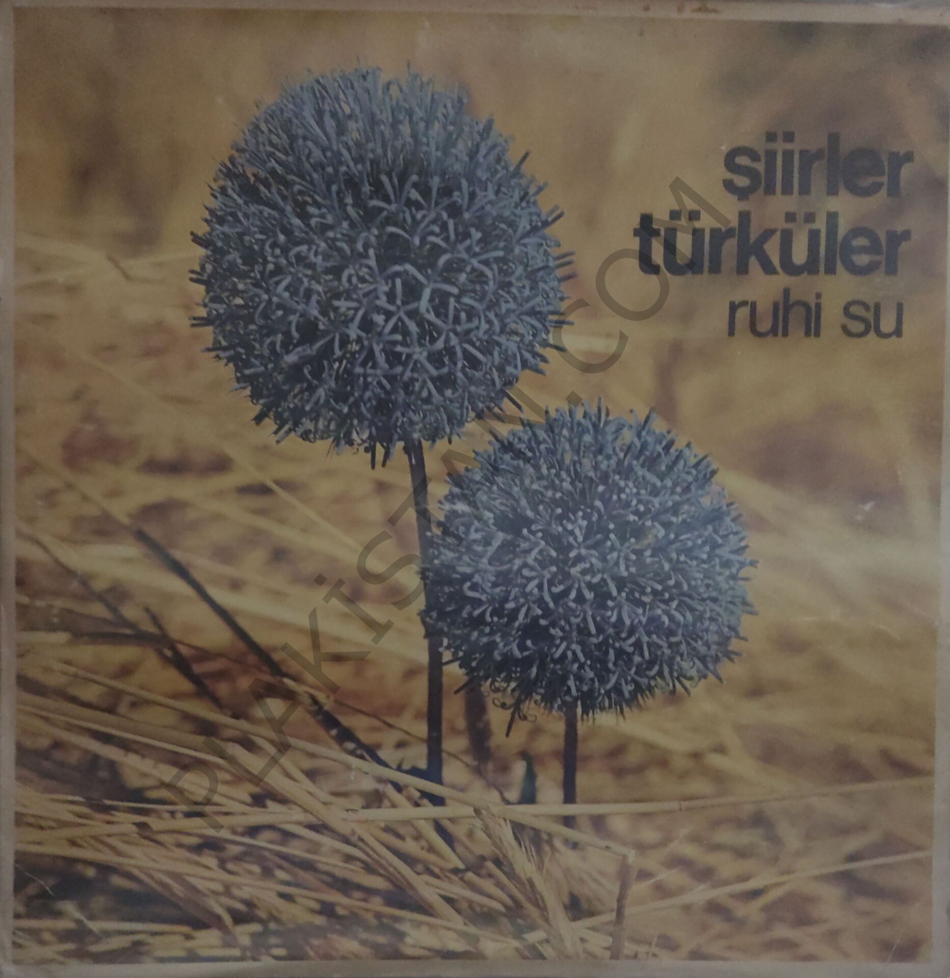 Ruhi Su Şiirler Türküler LP
