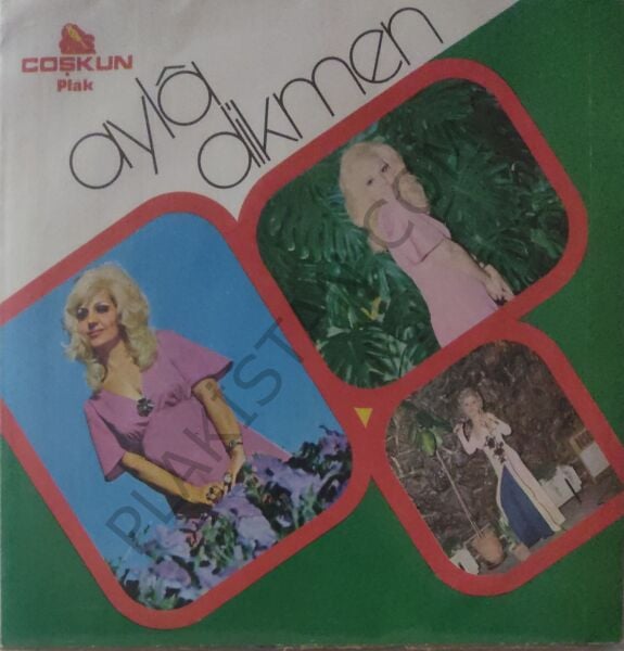 Ayla Dikmen Aşk Defteri