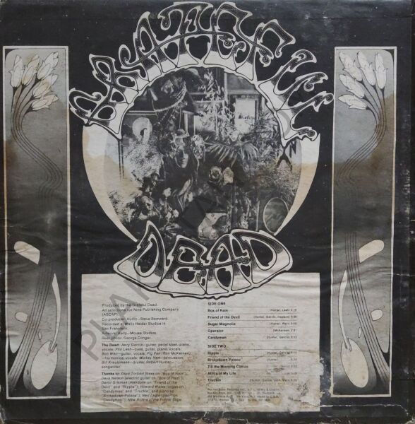 American Beauty LP PLAK
