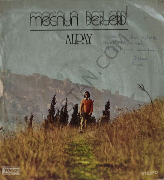 Alpay - Ayrılık Rüzgarı 45 LİK PLAK
