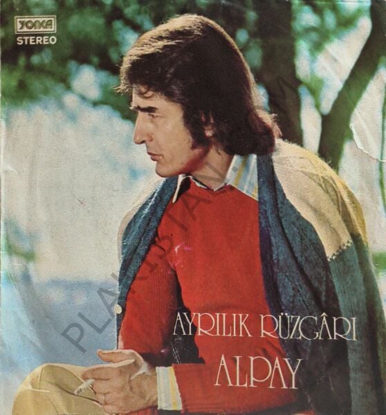 Alpay - Ayrılık Rüzgarı 45 LİK PLAK