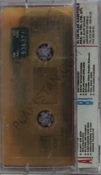Neşe Karaböcek - Altın Şarkılar - KASET